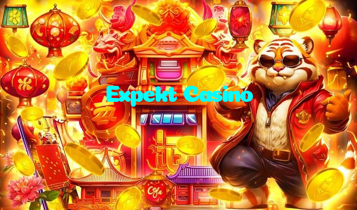 available types of Expekt Casino bet including pre-match live express and system bets